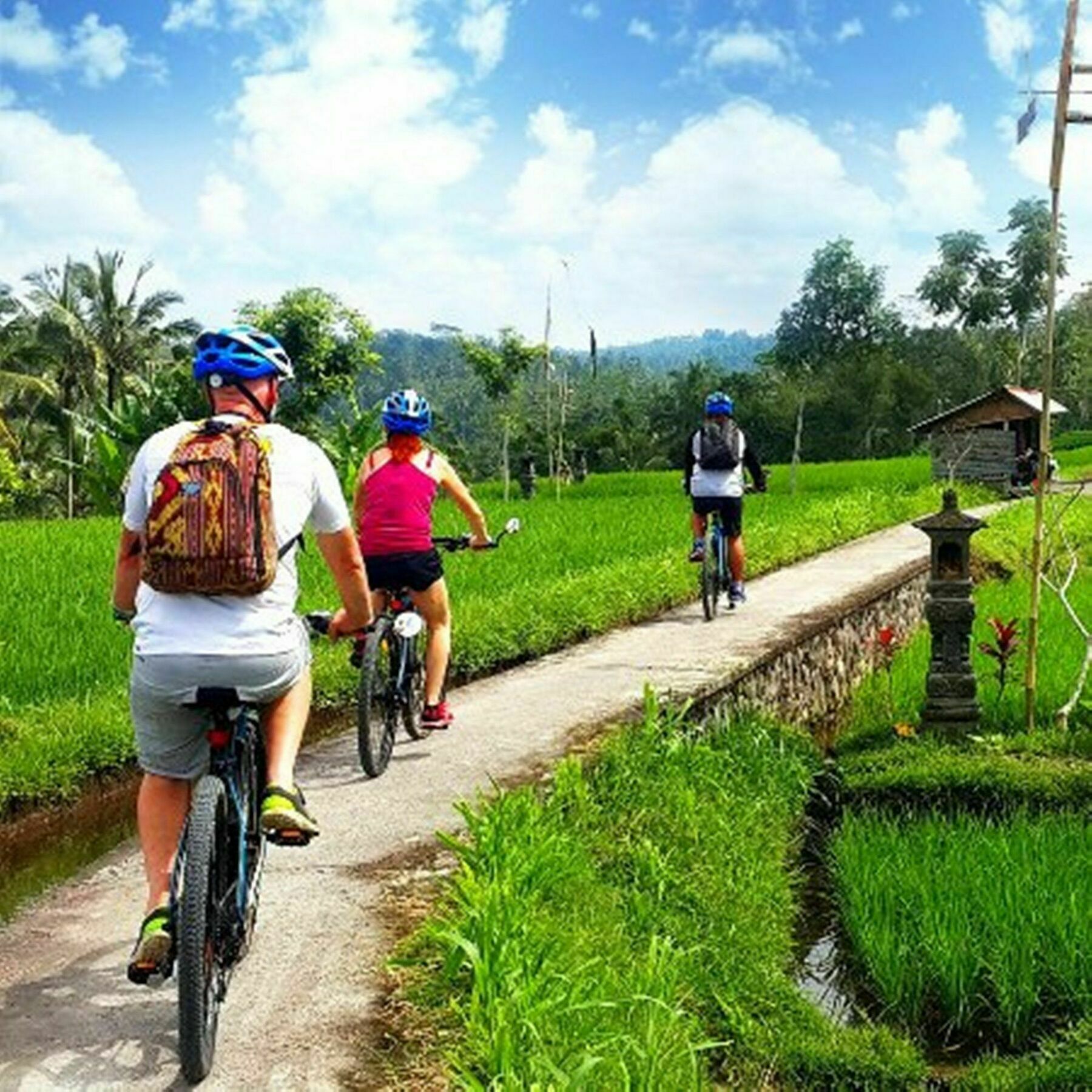Omah D'taman By Eps 3* Ubud
